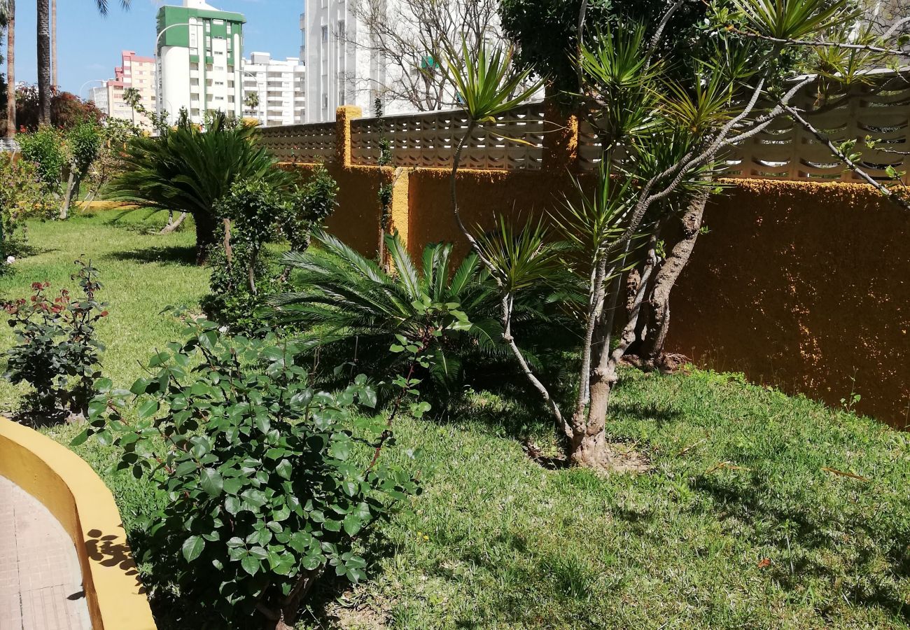 Ferienwohnung in Playa de Gandía - 1.CANCUN VII esc.5 6º N