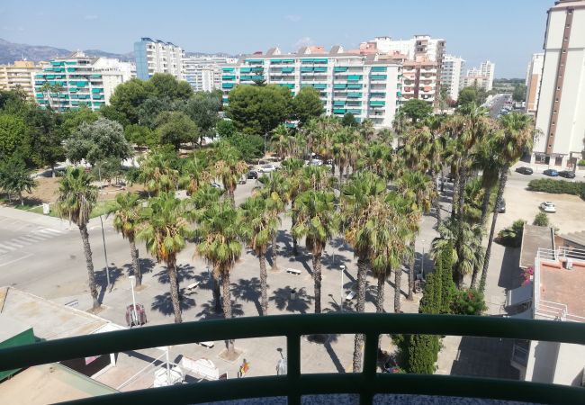 Ferienwohnung in Playa de Gandía - 1.CANCUN III ESC.IV 7ºA Ferienwohnung in Playa de Gandía - 1.CANCUN III ESC.IV 7ºA