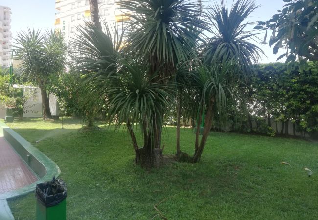 Ferienwohnung in Playa de Gandía - 1.CANCUN III ESC.IV 7ºA Ferienwohnung in Playa de Gandía - 1.CANCUN III ESC.IV 7ºA