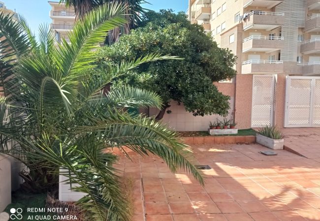 Ferienwohnung in Xeraco Playa - 4.Avda La Mota 10 Bajo Ferienwohnung in Xeraco Playa - 4.Avda La Mota 10 Bajo