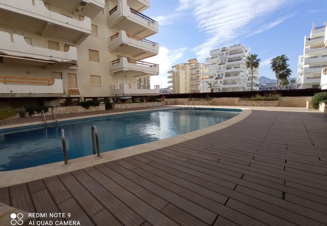 Ferienwohnung in Xeraco Playa - 4.Xeracsol III 3º pta.12 Ferienwohnung in Xeraco Playa - 4.Xeracsol III 3º pta.12