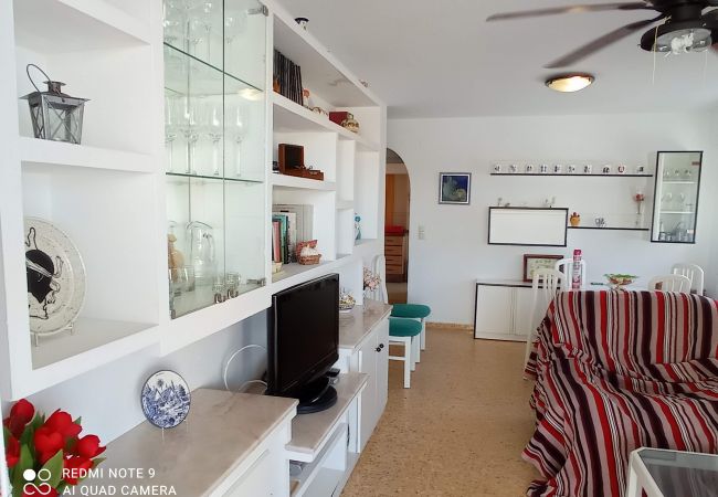 Ferienwohnung in Xeraco Playa - 4.Xeracsol III 3º pta.12 Ferienwohnung in Xeraco Playa - 4.Xeracsol III 3º pta.12