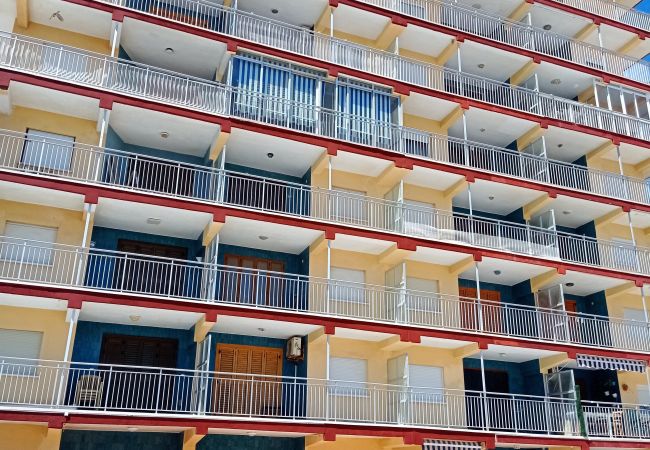 Ferienwohnung in Xeraco Playa - Bonsol bajo pta.1 Ferienwohnung in Xeraco Playa - Bonsol bajo pta.1