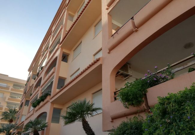 Ferienwohnung in Xeraco Playa - MariPatri esc.I 3º pta.5 Ferienwohnung in Xeraco Playa - MariPatri esc.I 3º pta.5