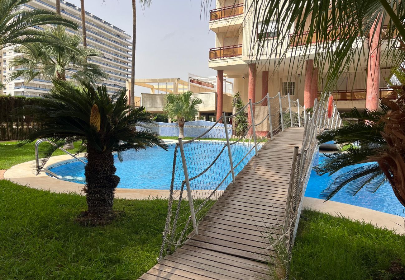 Ferienwohnung in Playa de Gandía - 1.Rioja Salinas IV esc.1 8º-16ª
