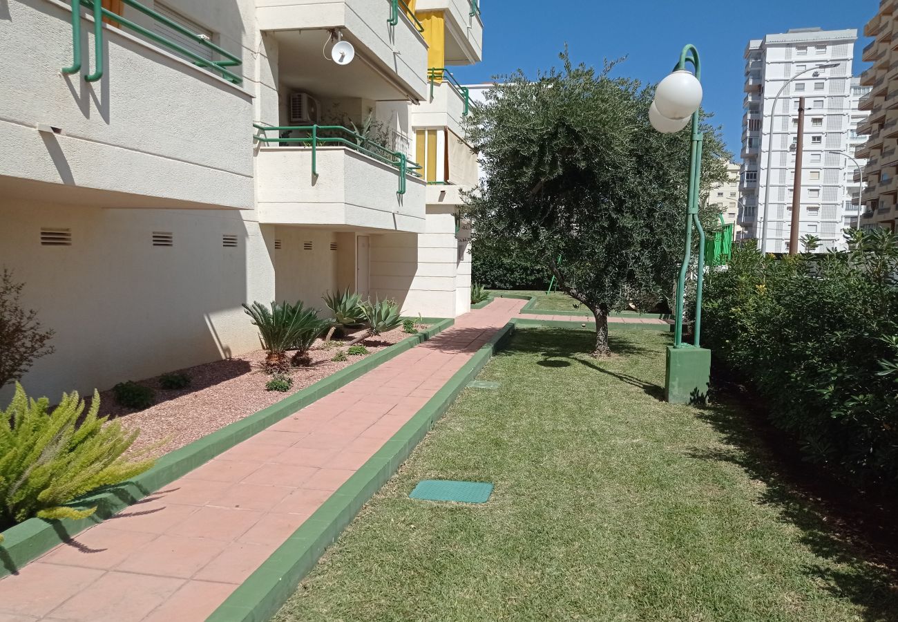 Ferienwohnung in Playa de Gandía - 1.Cancun IV bl.A esc.I 6º D