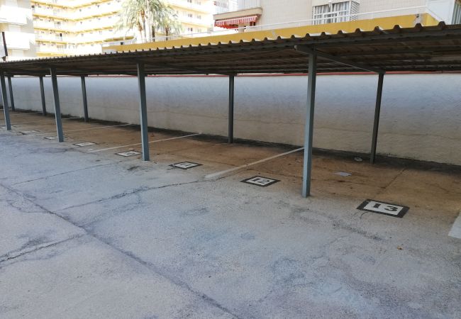 Ferienwohnung in Playa de Gandía - 1.Manacor esc.I 8º pta.15 Ferienwohnung in Playa de Gandía - 1.Manacor esc.I 8º pta.15