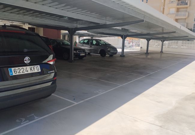 Ferienwohnung in Playa de Gandía - 1.Manacor esc.I 8º pta.15 Ferienwohnung in Playa de Gandía - 1.Manacor esc.I 8º pta.15
