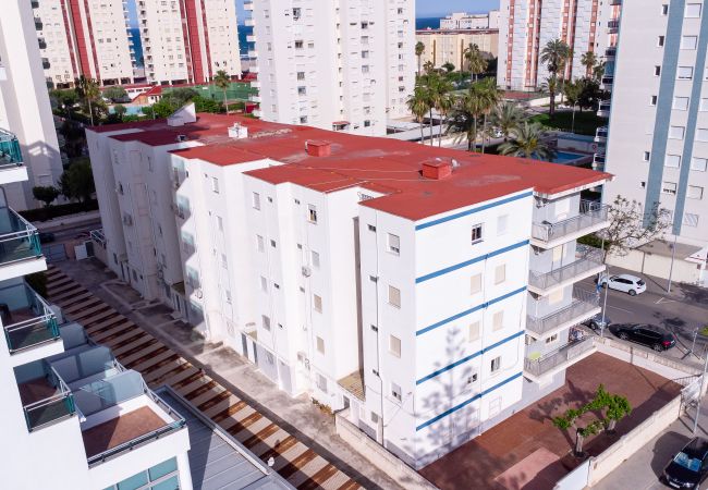 Ferienwohnung in Playa de Gandía - 1.Capricho esc.III bajo izda. B Ferienwohnung in Playa de Gandía - 1.Capricho esc.III bajo izda. B