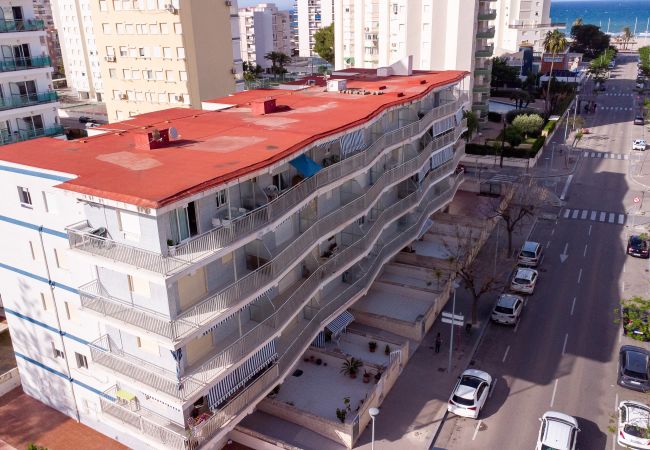 Ferienwohnung in Playa de Gandía - 1.Capricho esc.III bajo izda. B Ferienwohnung in Playa de Gandía - 1.Capricho esc.III bajo izda. B