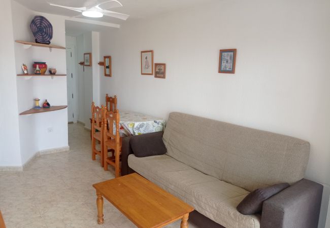 Apartment in Playa de Gandía - 1.Infante E4-4º Apartment in Playa de Gandía - 1.Infante E4-4º