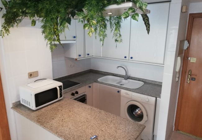 Apartment in Playa de Gandía - 1.Infante E6-12º Apartment in Playa de Gandía - 1.Infante E6-12º