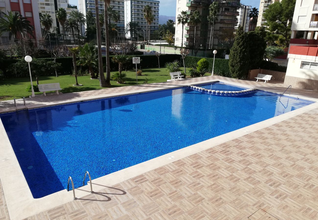 Apartment in Playa de Gandía - Don Ximo 5º Solo Familias!