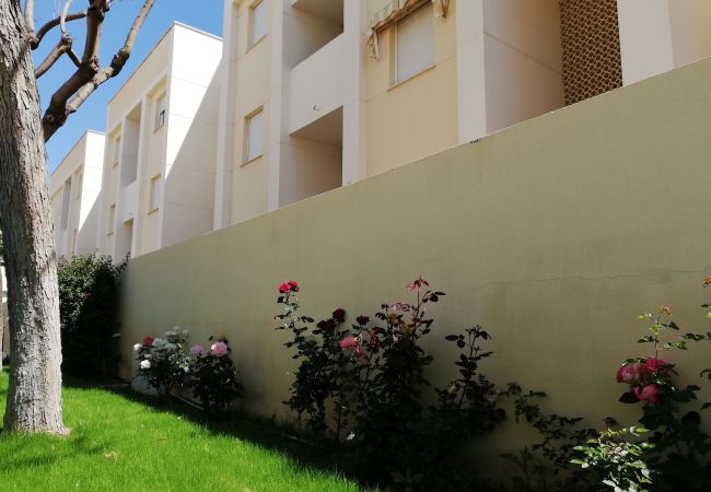 Apartment in Playa Xeraco - Solmar II 12 - 2º (garaje 18)