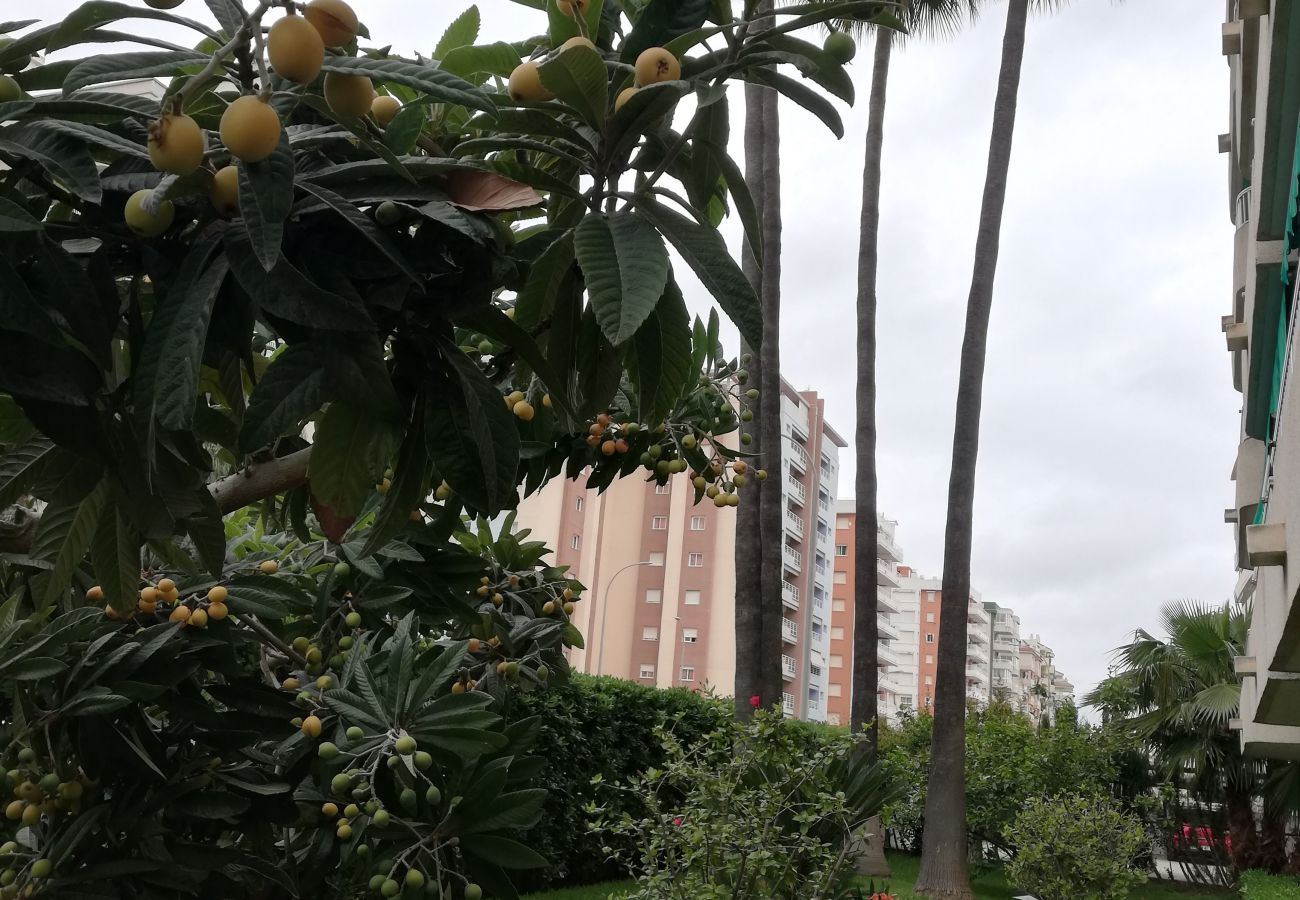 Apartment in Playa de Gandía - 1.Parque VII esc.I 9º pta.17 (garaje 33)