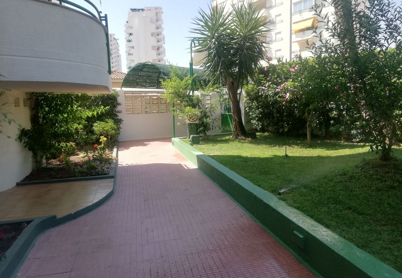 Apartment in Playa de Gandía - 1.CANCUN III ESC.IV 7ºA