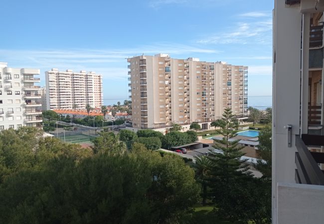 Studio in Playa de Gandía - 1.Tres Delfines 4ºC Studio in Playa de Gandía - 1.Tres Delfines 4ºC