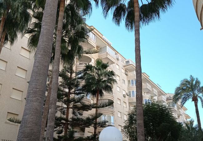 Apartment in Playa de Gandía - 1.Tropicana Park esc.1  3º pta.18