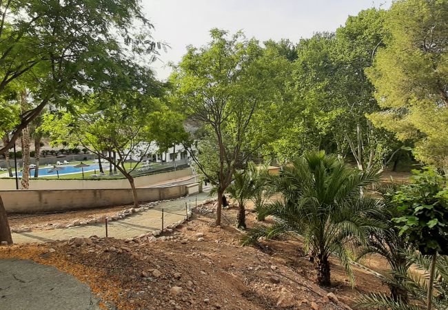 Apartment in Xeresa - 2.Xeresa del Monte bl.D11 esc.15 4º pta.85 Apartment in Xeresa - 2.Xeresa del Monte bl.D11 esc.15 4º pta.85