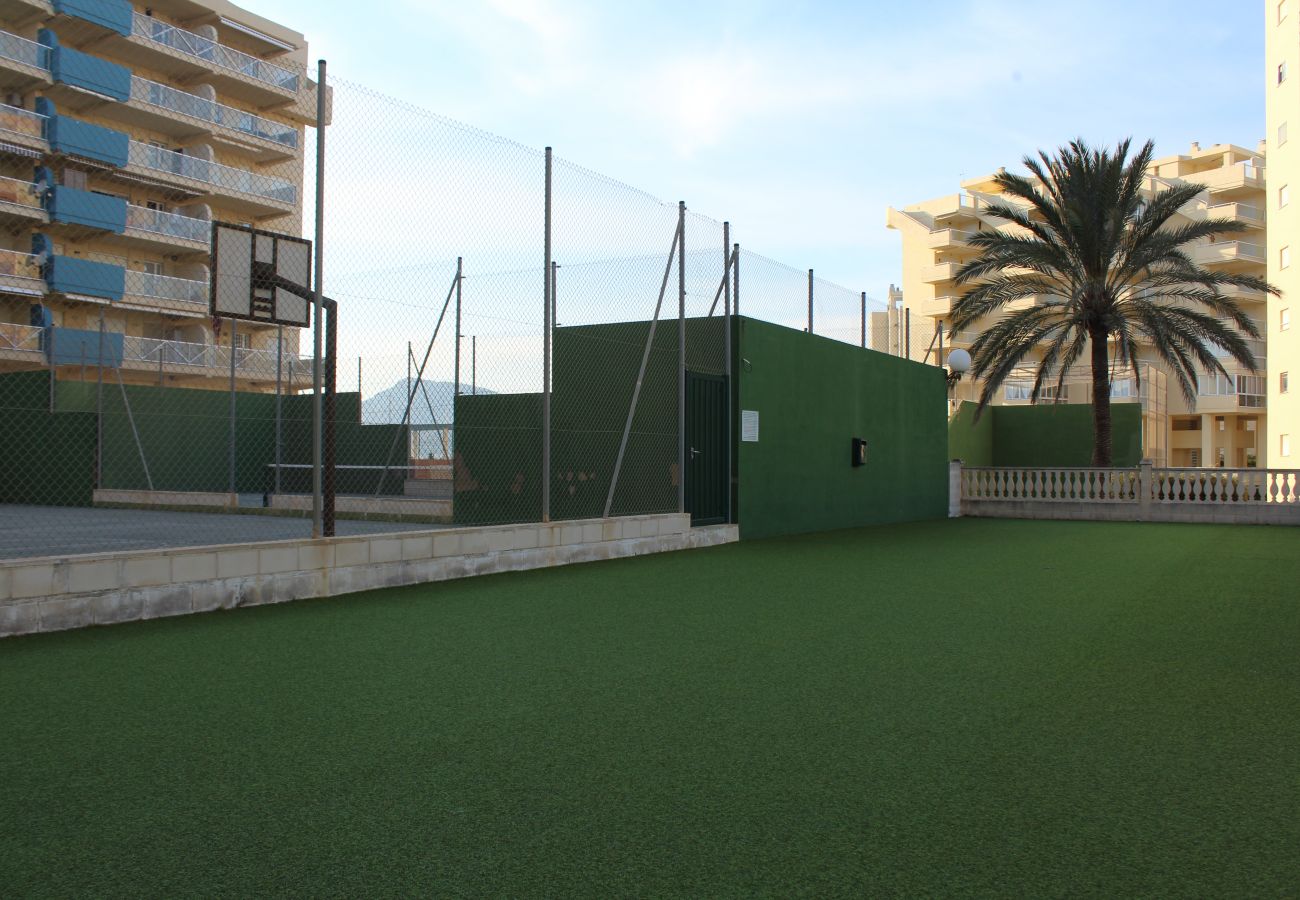 Apartment in Playa Xeraco - Naranjos II esc.2 7º pta.13 ático