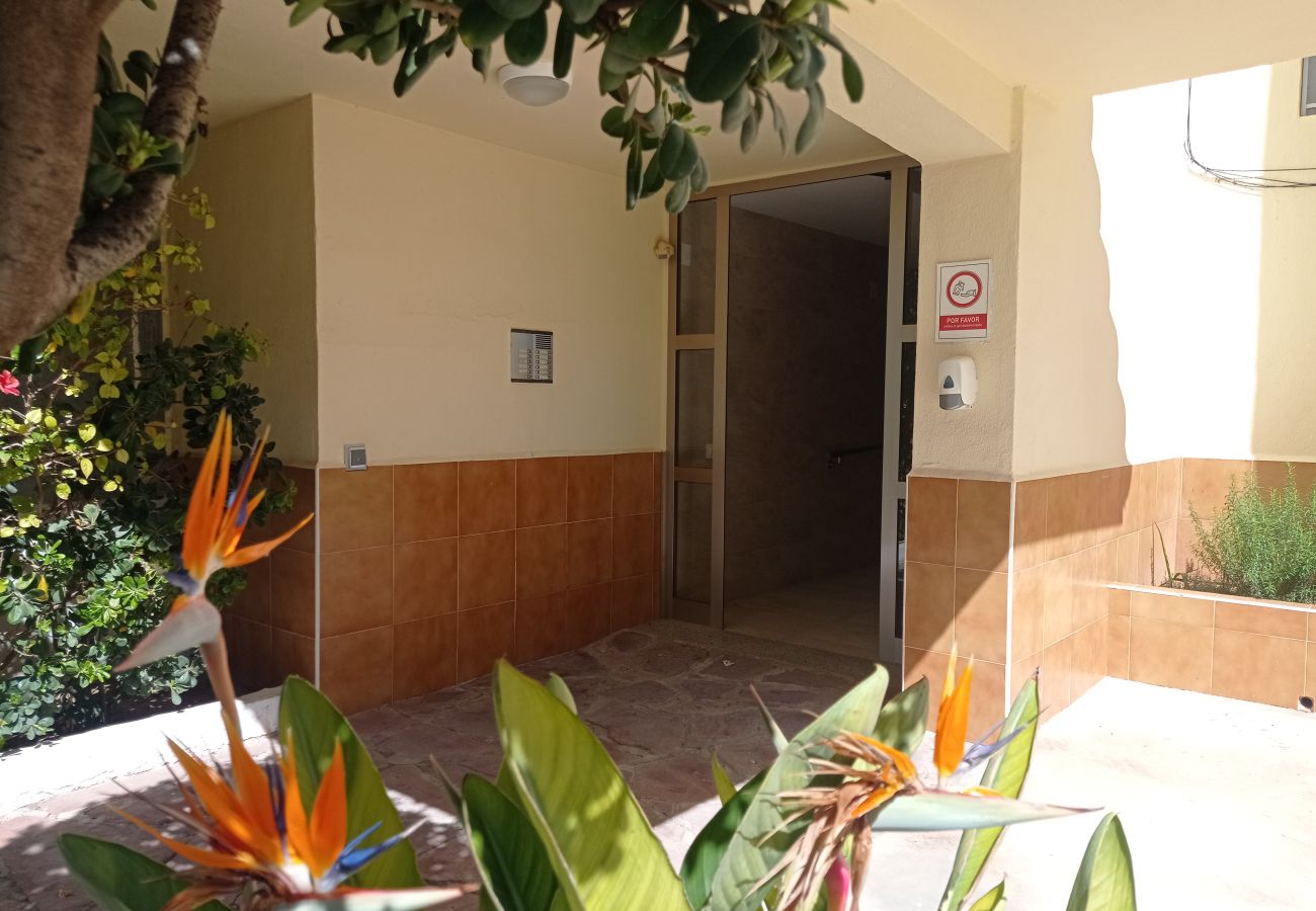 Apartment in Playa Xeraco - Boby II 2ºC