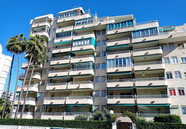 Apartment in Playa de Gandía - 1.Parque VII esc.III 3º pta.6