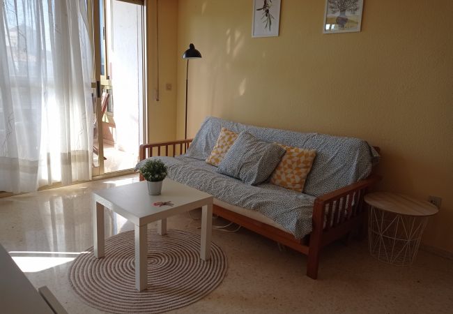 Apartment in Playa de Gandía - 1.Jardin VII esc.I (izda.) 8º A