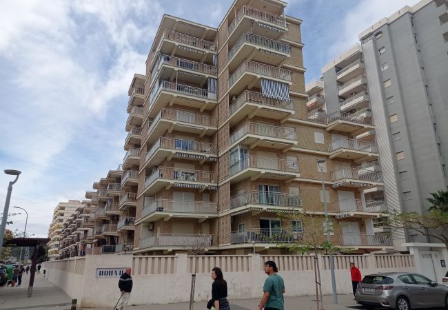 Apartment in Playa de Gandía - 1.Roma II esc.II  7º-16ª