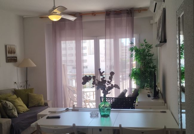 Apartment in Playa de Gandía - 1.Roma V esc. 1 2º pta 6 Apartment in Playa de Gandía - 1.Roma V esc. 1 2º pta 6