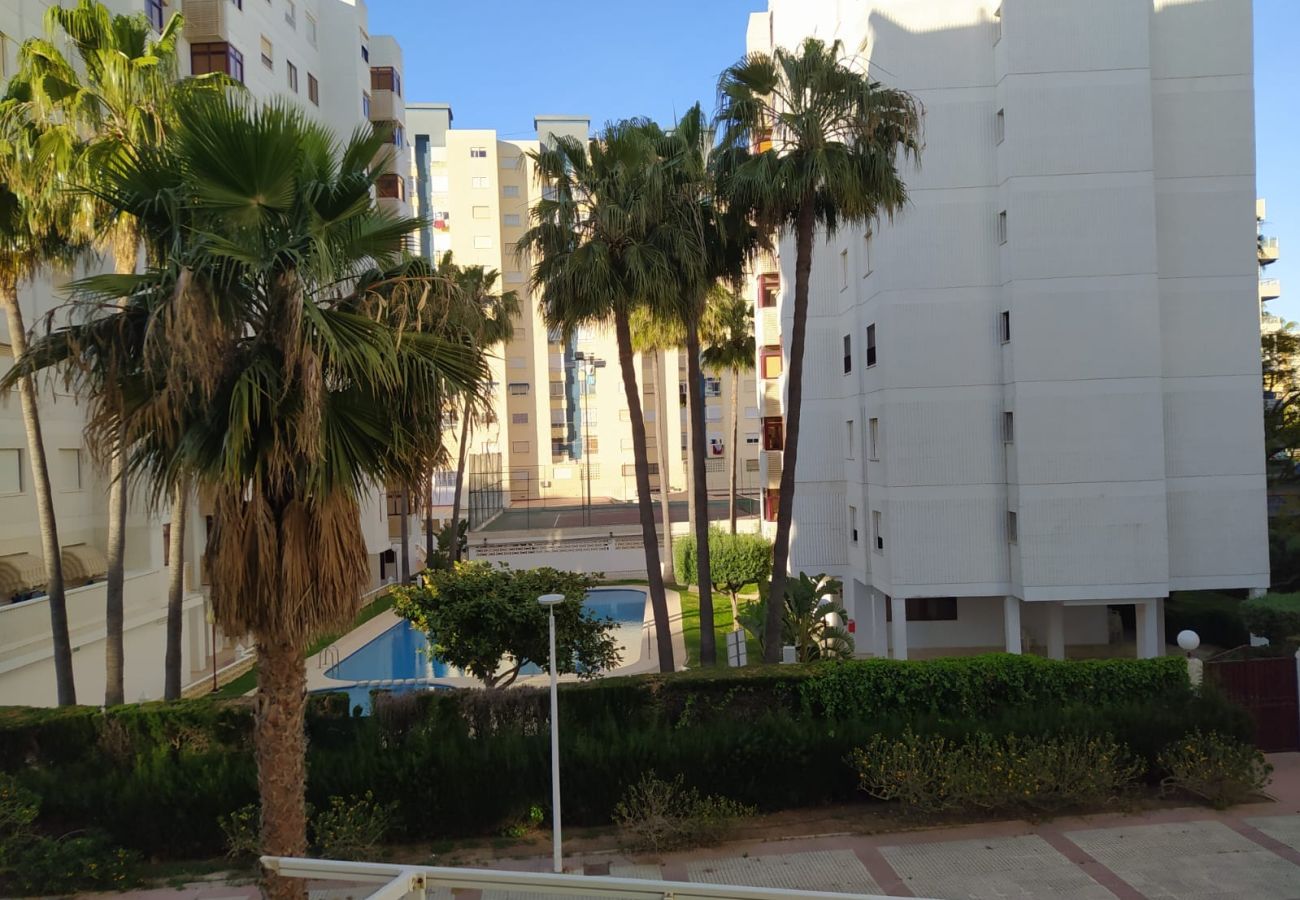 Apartment in Playa de Gandía - 1.Los Dorados esc.I 2º pta.6