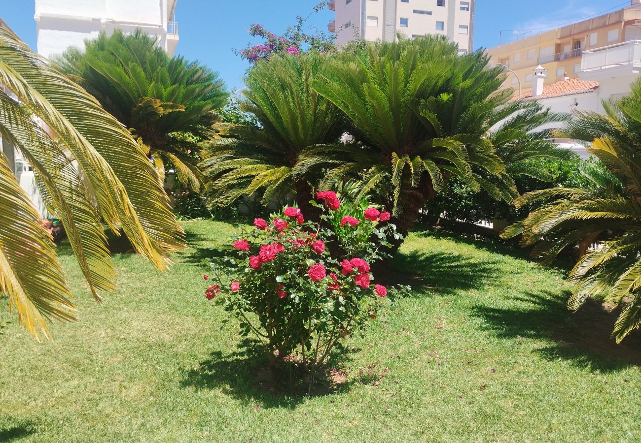 Apartment in Playa de Gandía - 1.Manacor esc.I 8º pta.15