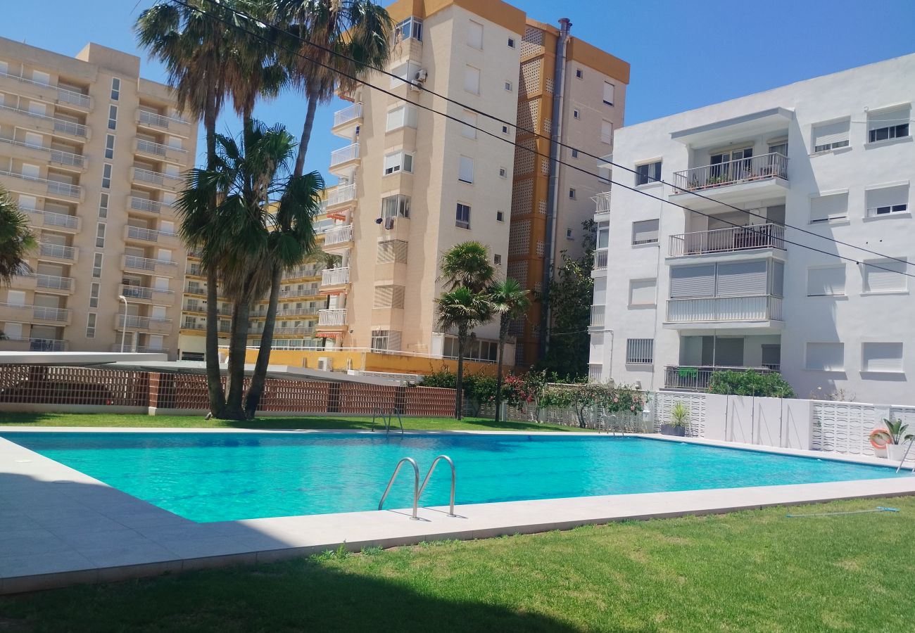 Apartment in Playa de Gandía - 1.Manacor esc.I 8º pta.15