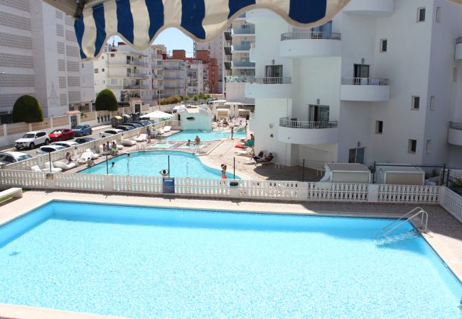 Apartment in Playa de Gandía - 1.Flamingo 1º pta 7 C Apartment in Playa de Gandía - 1.Flamingo 1º pta 7 C