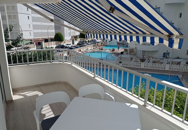 Apartment in Playa de Gandía - 1.Flamingo 1º pta 7 C Apartment in Playa de Gandía - 1.Flamingo 1º pta 7 C