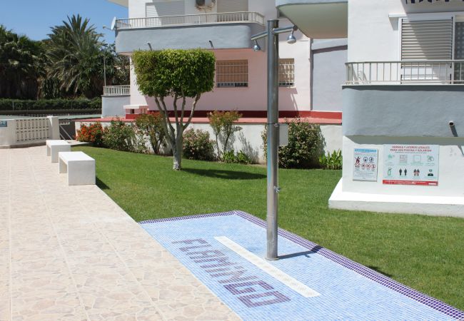 Apartment in Playa de Gandía - 1.Flamingo 1º pta 7 C Apartment in Playa de Gandía - 1.Flamingo 1º pta 7 C