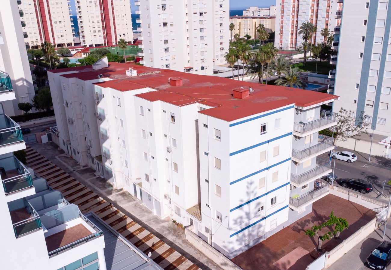 Apartment in Playa de Gandía - 1.Capricho esc.III bajo izda. B