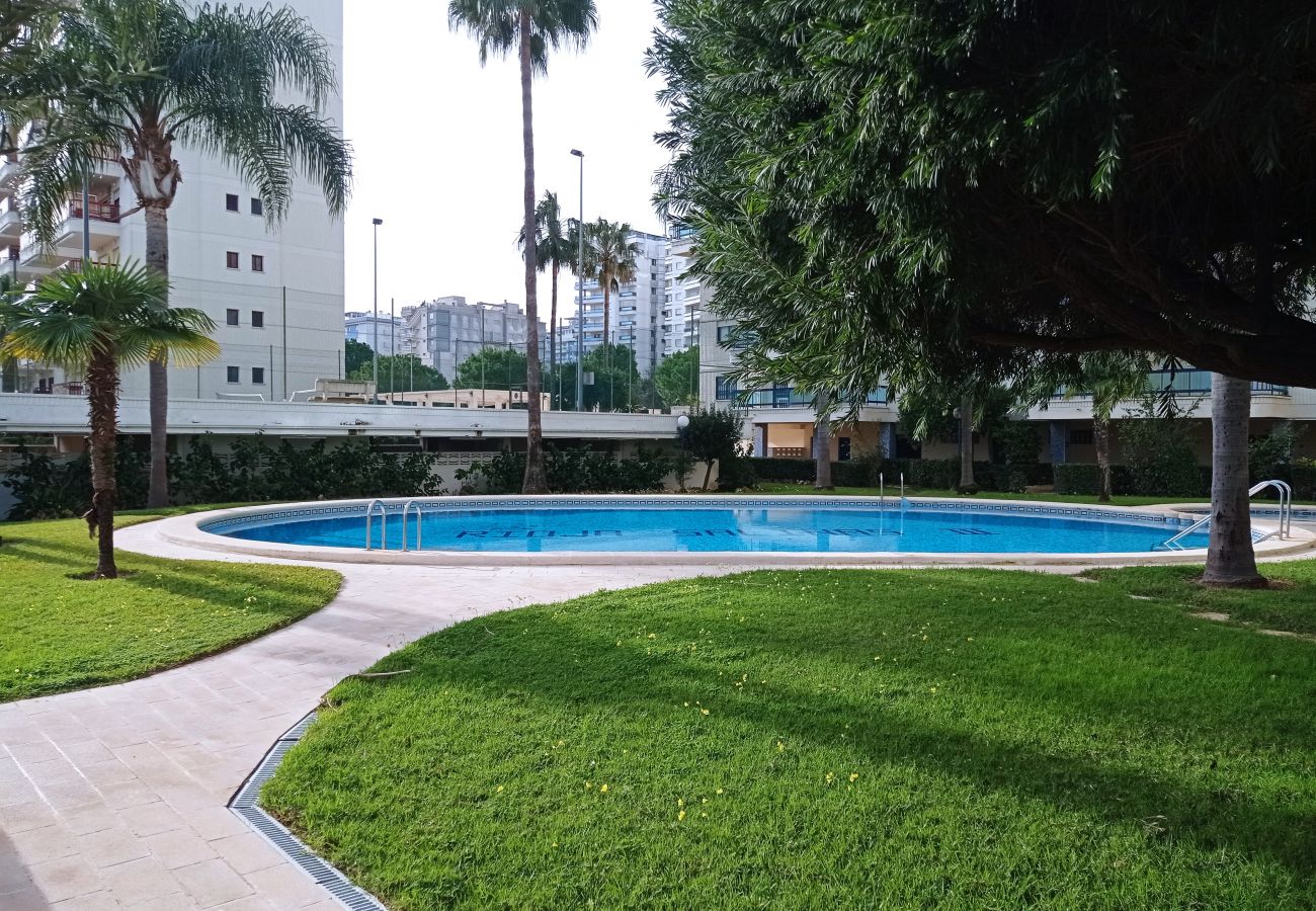 Apartment in Playa de Gandía - 1.Rioja Salinas III esc.2 5º D