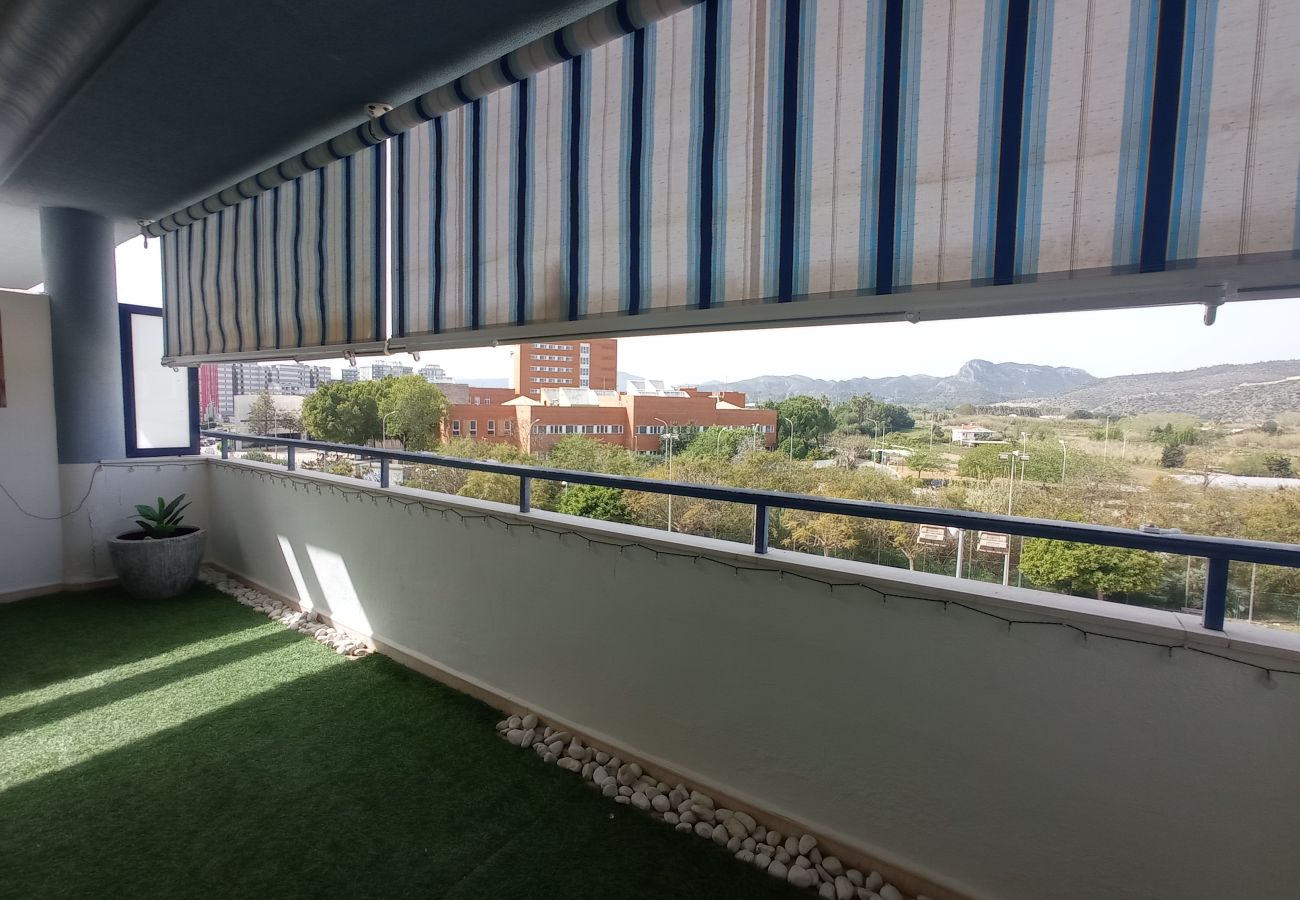 Apartment in Playa de Gandía - Edificio Azul V Dúplex 2º