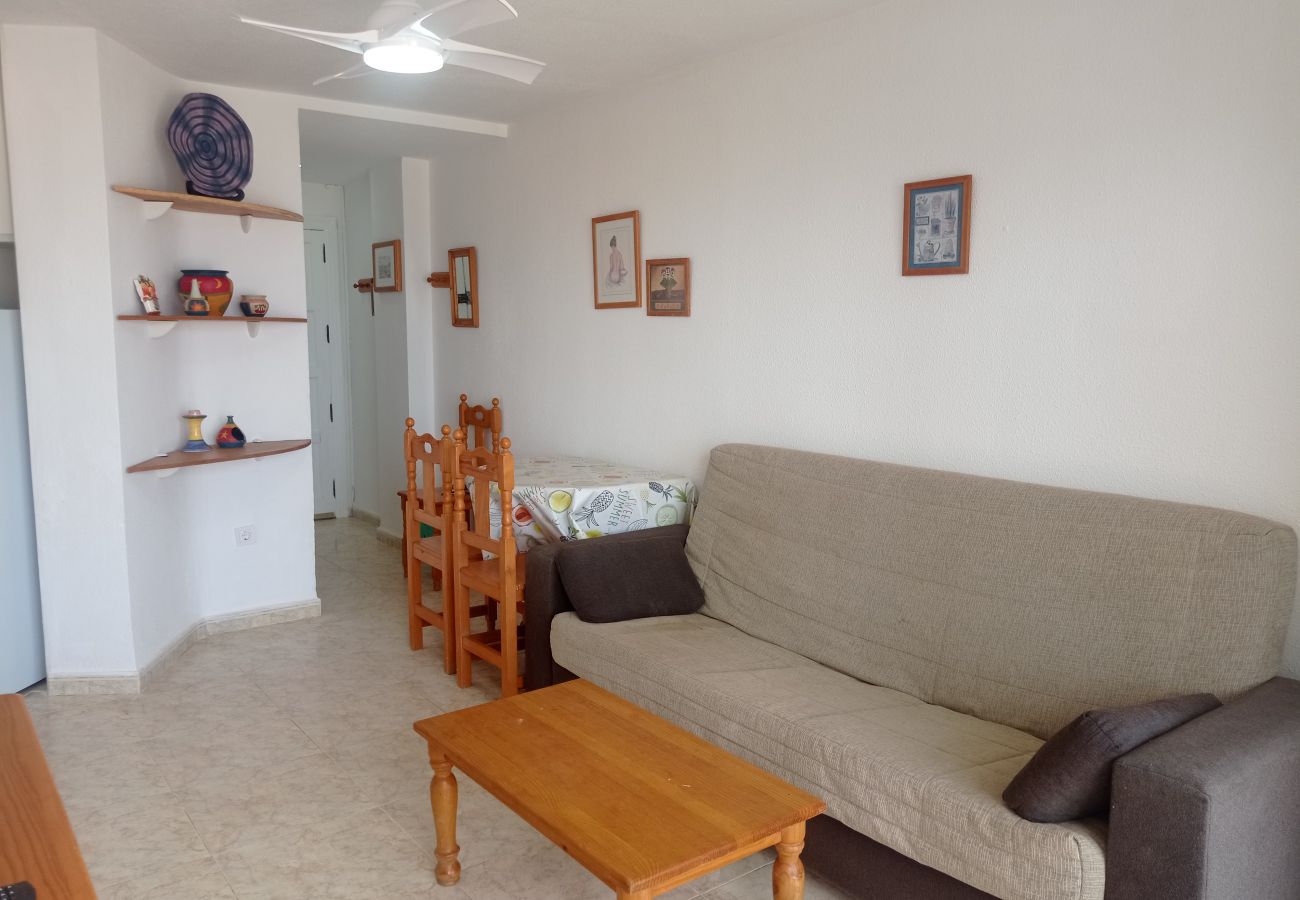 Appartement à Playa de Gandía - 1.Infante E4-4º