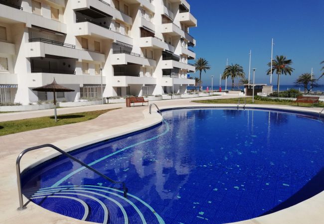 Appartement à Playa de Gandía - 1.Dúplex Altamar esc.III 1ºpta.2 (garaje 10) Appartement à Playa de Gandía - 1.Dúplex Altamar esc.III 1ºpta.2 (garaje 10)