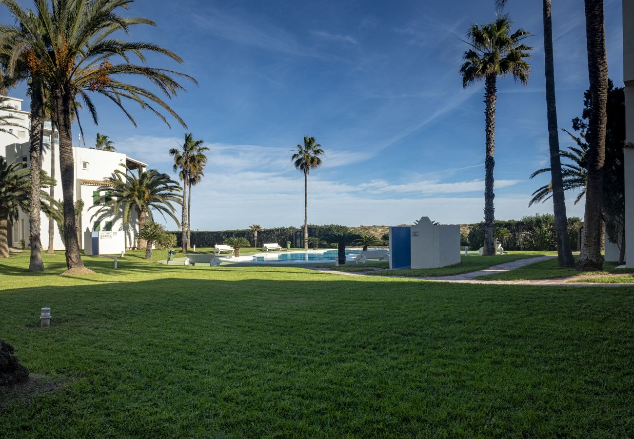 Vue sur le jardin