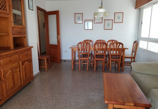 Appartement à Xeraco Playa - 4.Las Olas bl.II 3ºB (pta.8) Appartement à Xeraco Playa - 4.Las Olas bl.II 3ºB (pta.8)