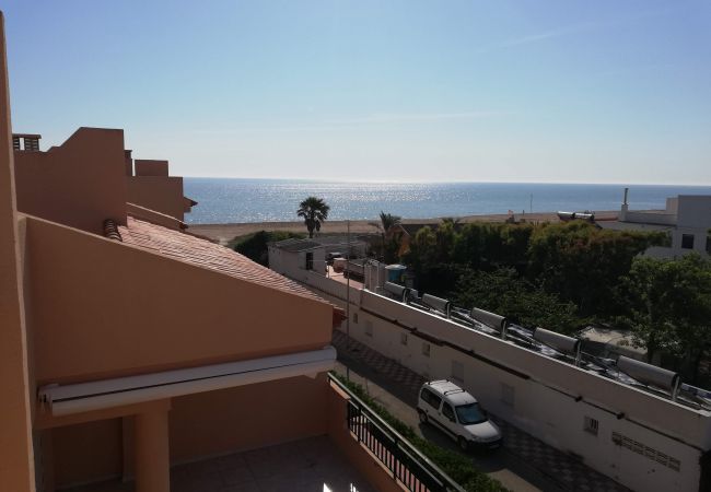 Appartement à Xeraco Playa - 4.Oasis Bl.III Esc.A 2º pta.2 ático Appartement à Xeraco Playa - 4.Oasis Bl.III Esc.A 2º pta.2 ático