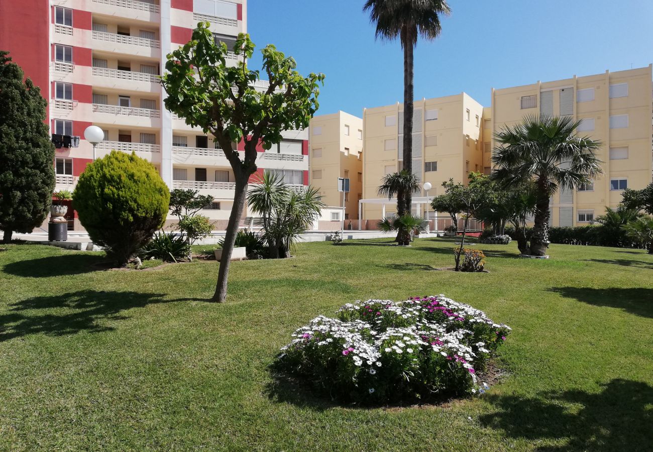 Appartement à Playa de Gandía - 1.Don Ximo 1º pta 1 (garaje 61)