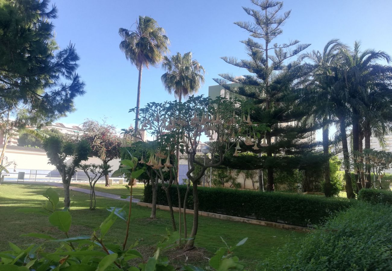 Appartement à Playa de Gandía - 1.Parque IV esc. 1 1º pta 1