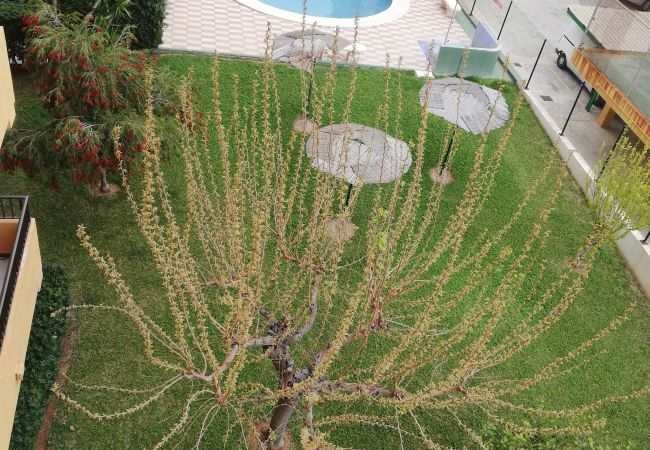 Appartement à Xeraco Playa - Tamaris playa 3ºA Appartement à Xeraco Playa - Tamaris playa 3ºA