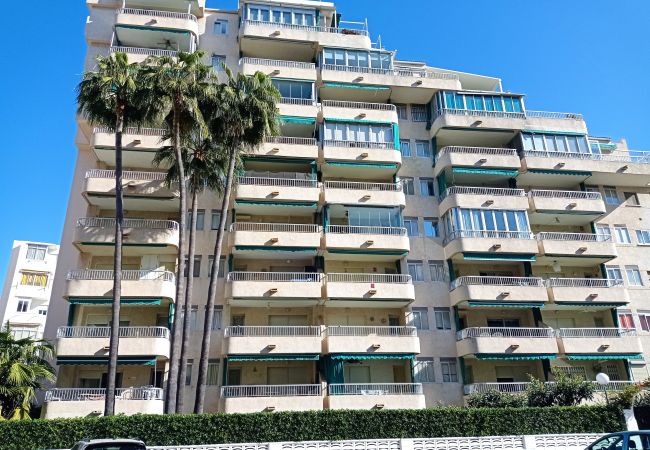 Appartement à Playa de Gandía - 1.Parque VII esc.I 9º pta.17 (garaje 33)