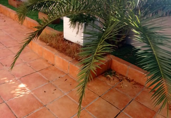 Appartement à Xeraco Playa - 4.Avda La Mota 10 Bajo Appartement à Xeraco Playa - 4.Avda La Mota 10 Bajo