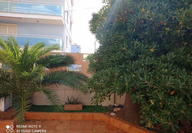 Appartement à Xeraco Playa - 4.Avda La Mota 10 Bajo Appartement à Xeraco Playa - 4.Avda La Mota 10 Bajo