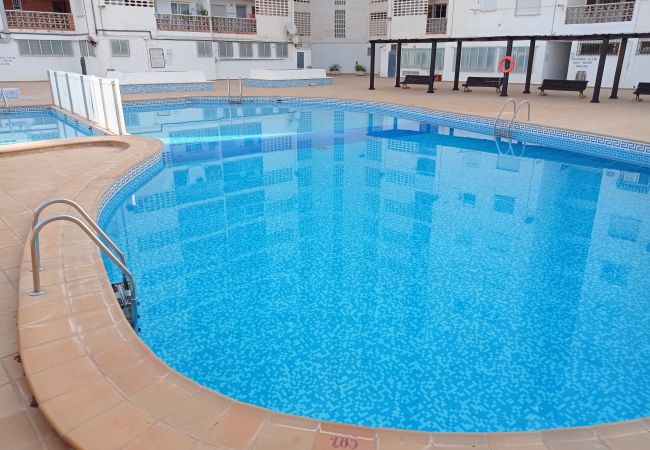 Appartement à Playa de Gandía - 1.Bonaire H-6º Appartement à Playa de Gandía - 1.Bonaire H-6º